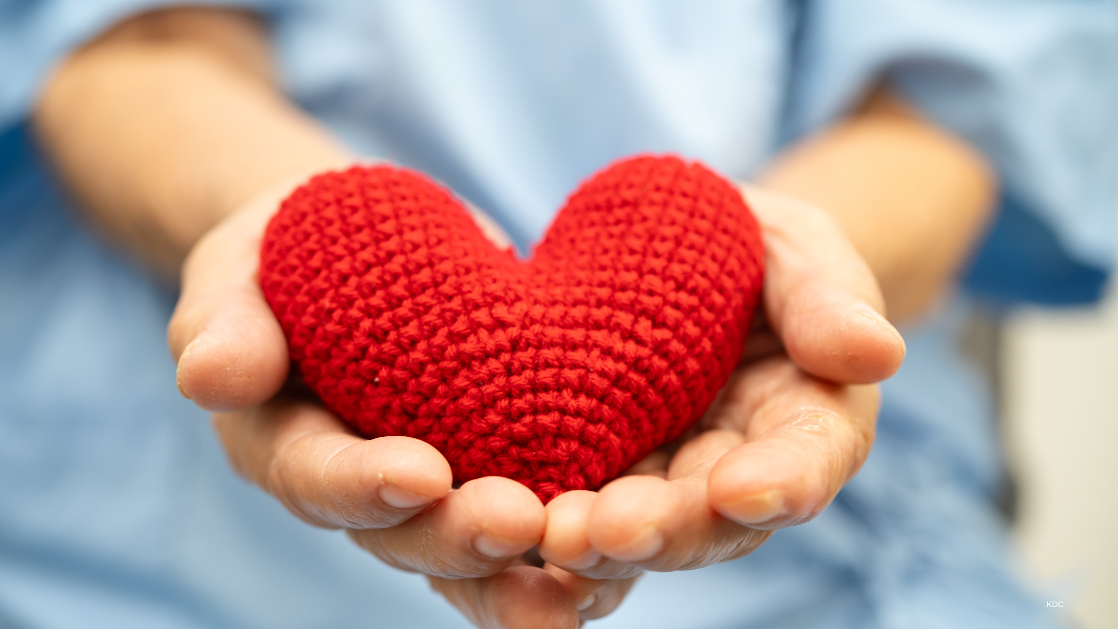 Philanthropic Involvement: Making a Difference in Your Community